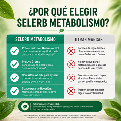 Metaburn | Apoyo Metabólico y Bienestar Digestivo